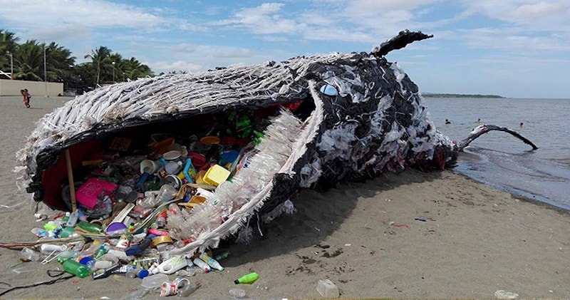 ocean-plastic-pollution-whale